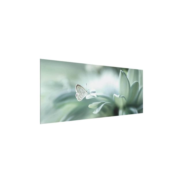 Glass print - Butterfly And Dew Drops In Pastel Green