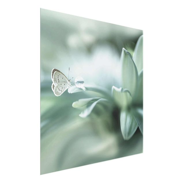 Glass print - Butterfly And Dew Drops In Pastel Green