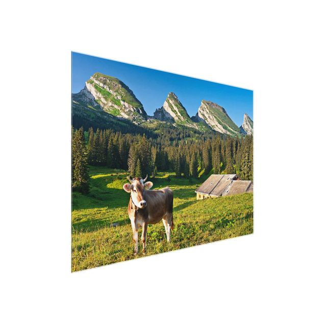 Glass print - Swiss Alpine Meadow With Cow