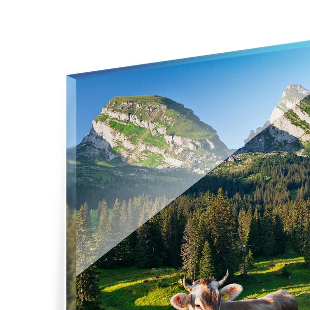 Glass print - Swiss Alpine Meadow With Cow