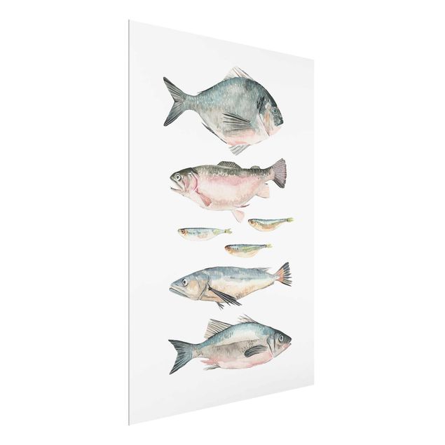 Glass print - Seven Fish In Watercolour II