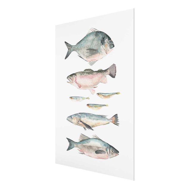Glass print - Seven Fish In Watercolour II