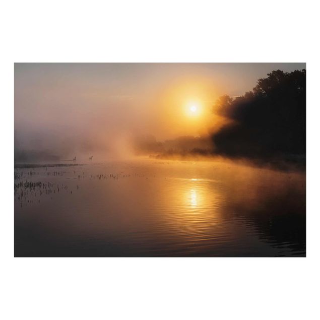 Glass print - Sunrise on the lake with deers in the fog
