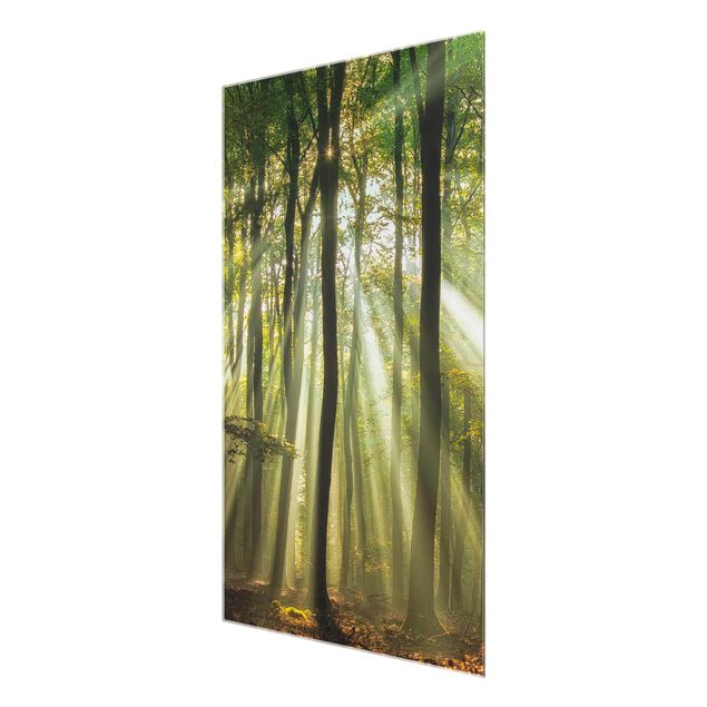 Glass print - Sunny Day In The Forest