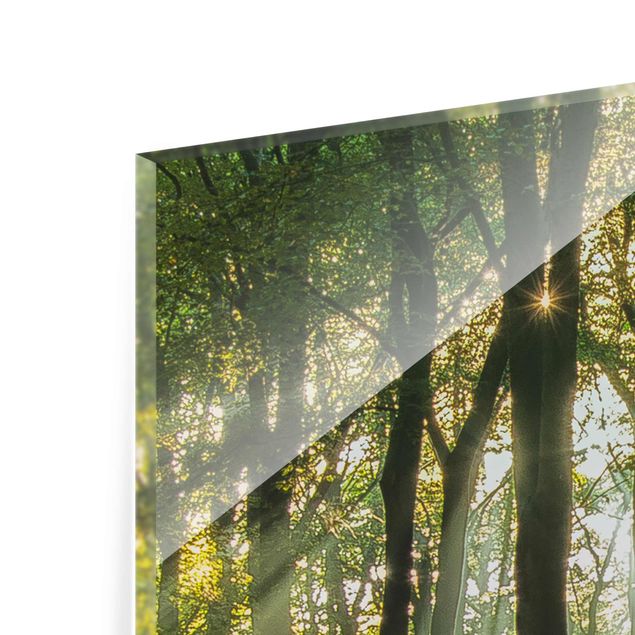 Glass print - Sunny Day In The Forest