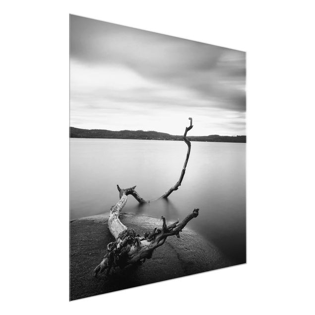 Glass print - Sunset In Black And White By The Lake