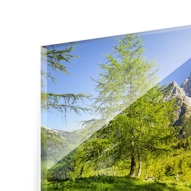 Glass print - Styria Alpine Meadow
