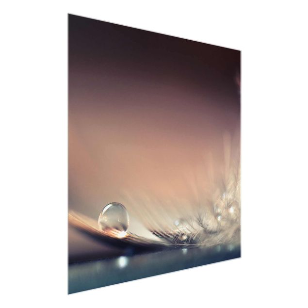 Glass print - Story of a Waterdrop