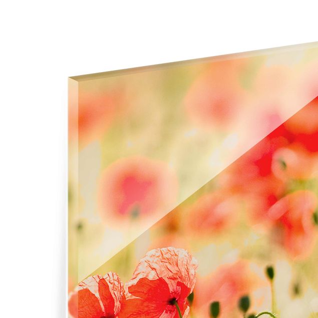 Glass print - Summer Poppies