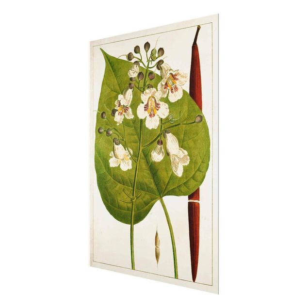 Glass print - Tableau Leaf Flower Fruit V