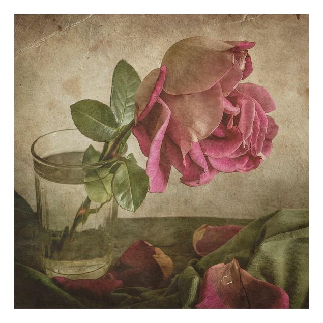 Glass print - Tear Of A Rose