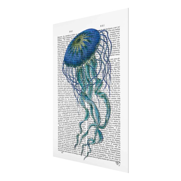 Glass print - Animal Reading - Jellyfish