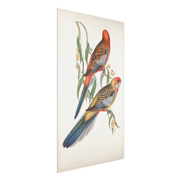 Glass print - Tropical Parrot II