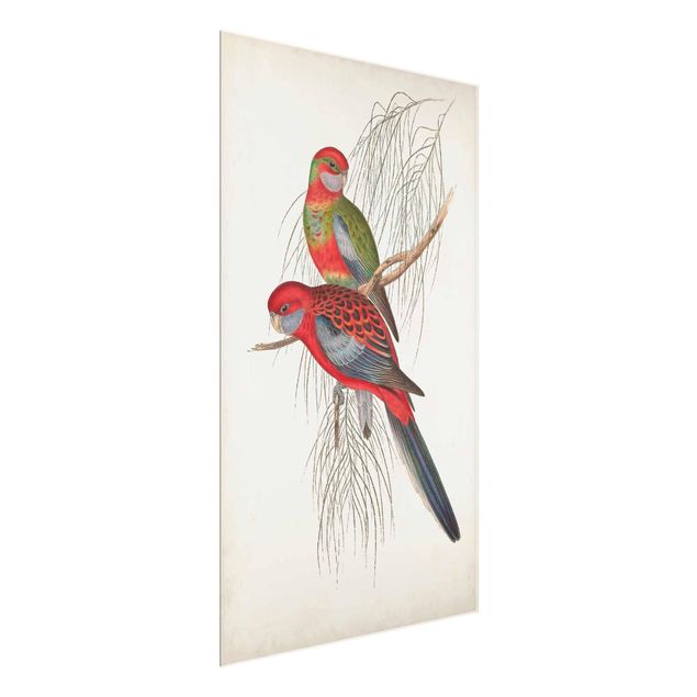 Glass print - Tropical Parrot III