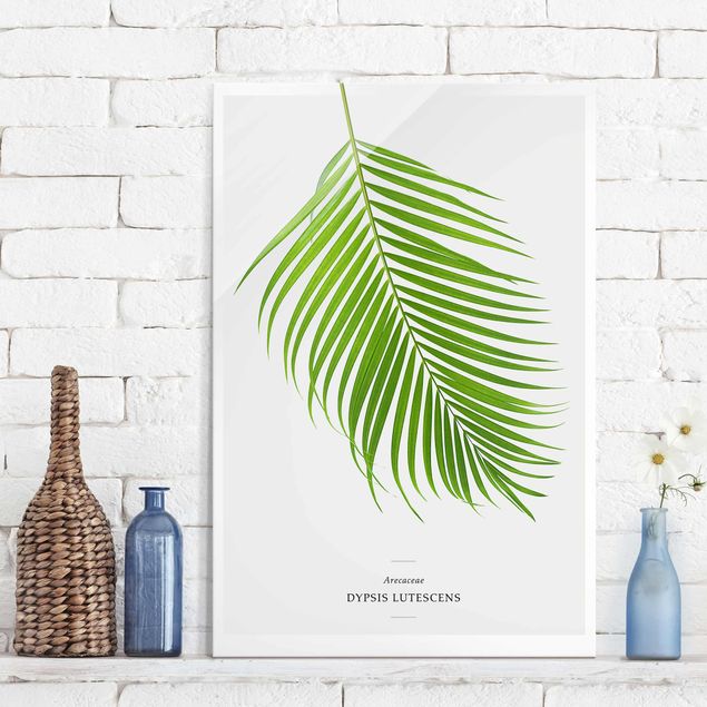 Magnettafel Glas Tropical Leaf Areca Palm