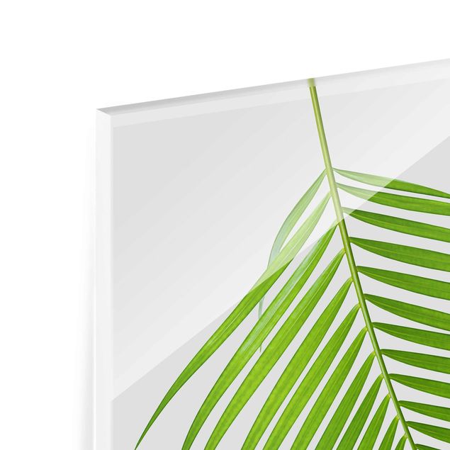 Glass print - Tropical Leaf Areca Palm