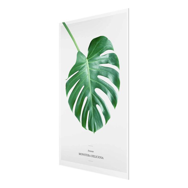 Glass print - Tropical Leaf Monstera