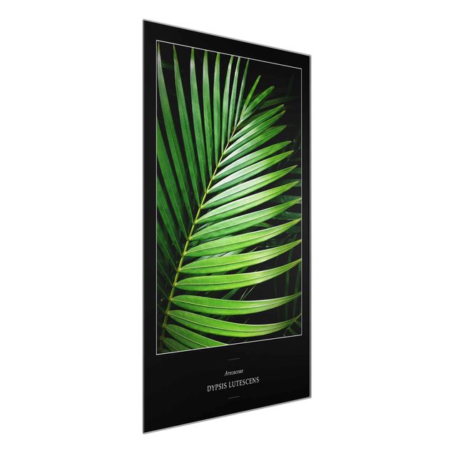 Glass print - Tropical Palm Leaf