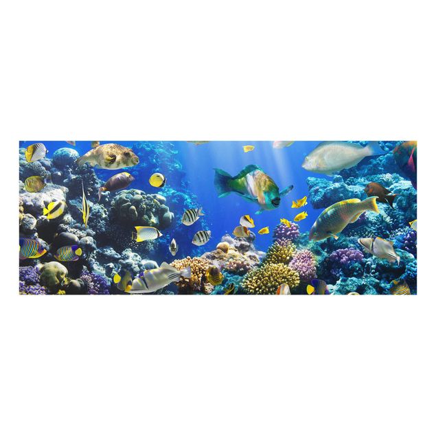 Glass print - Underwater Reef