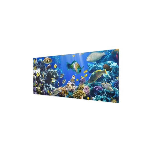 Glass print - Underwater Reef
