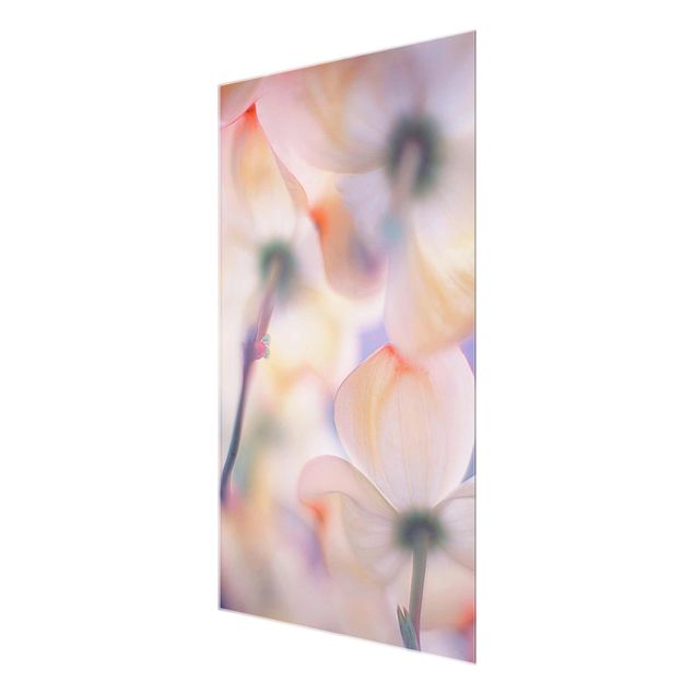 Glass print - Below Flowers