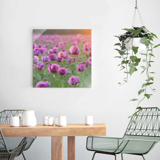 Glass print - Purple Poppy Flower Meadow In Spring