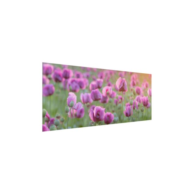 Glass print - Purple Poppy Flower Meadow In Spring