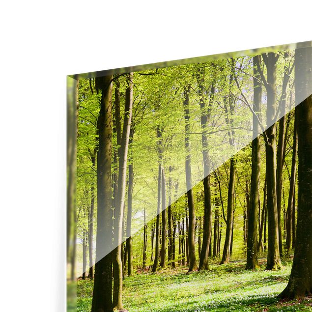Glass print - Forest Meadow