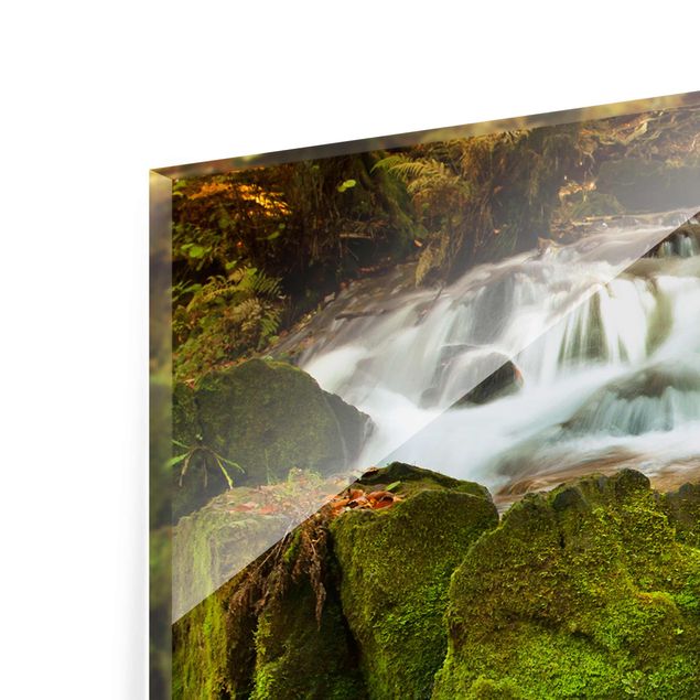 Glass print - Waterfall Autumnal Forest
