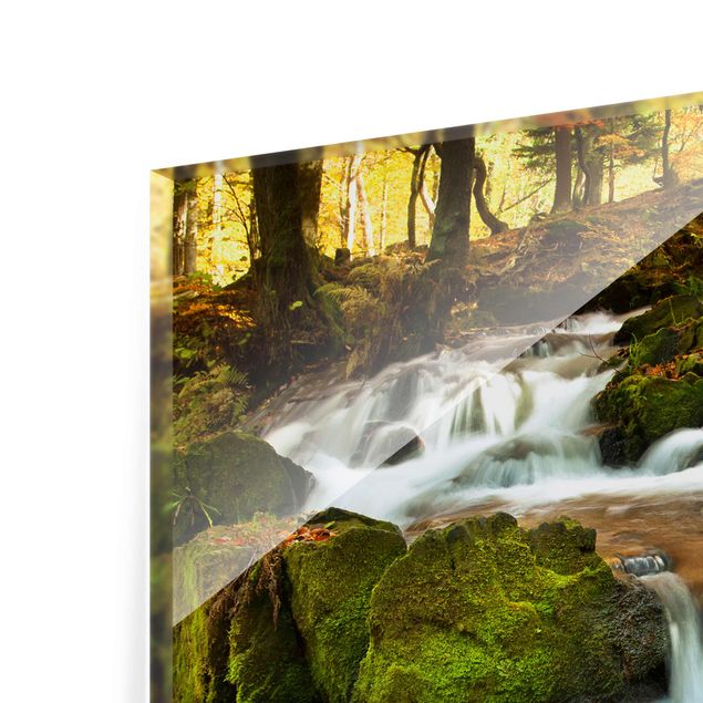 Glass print - Waterfall Autumnal Forest
