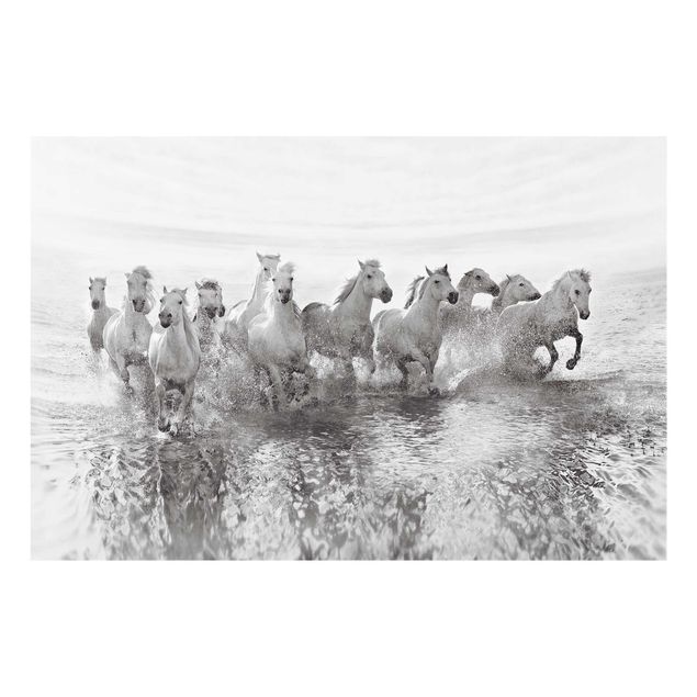 Glass print - White Horses In The Ocean