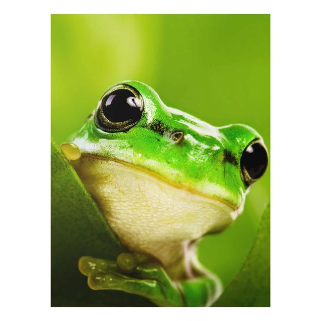 Glass print - Frog