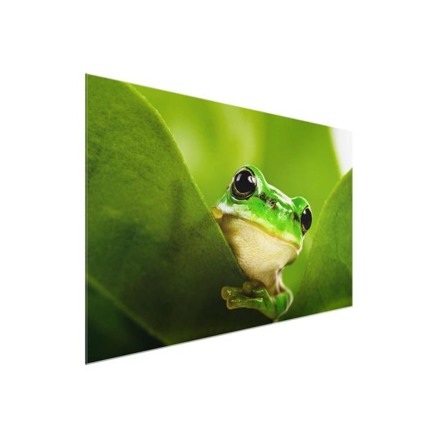 Glass print - Frog