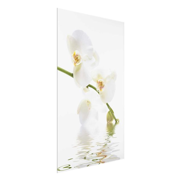 Glass print - White Orchid Waters