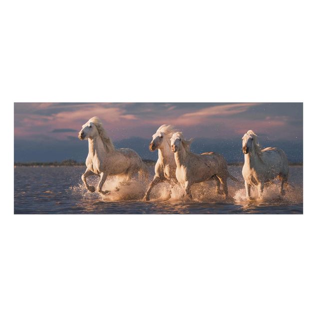 Glass print - Wild Horses In Kamargue