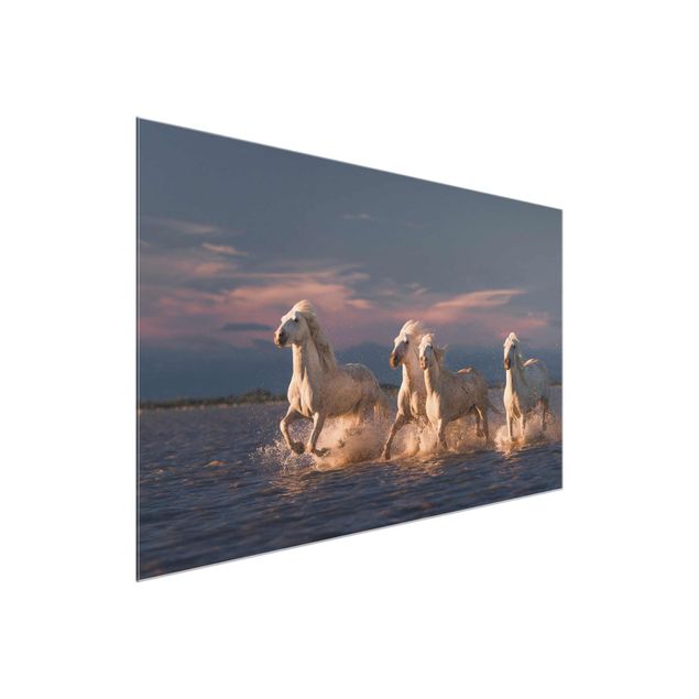 Glass print - Wild Horses In Kamargue