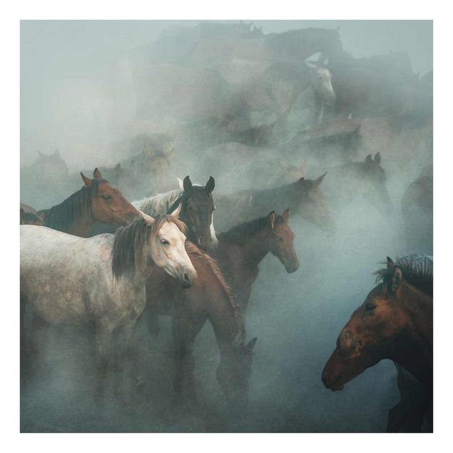 Glass print - Wild Horses