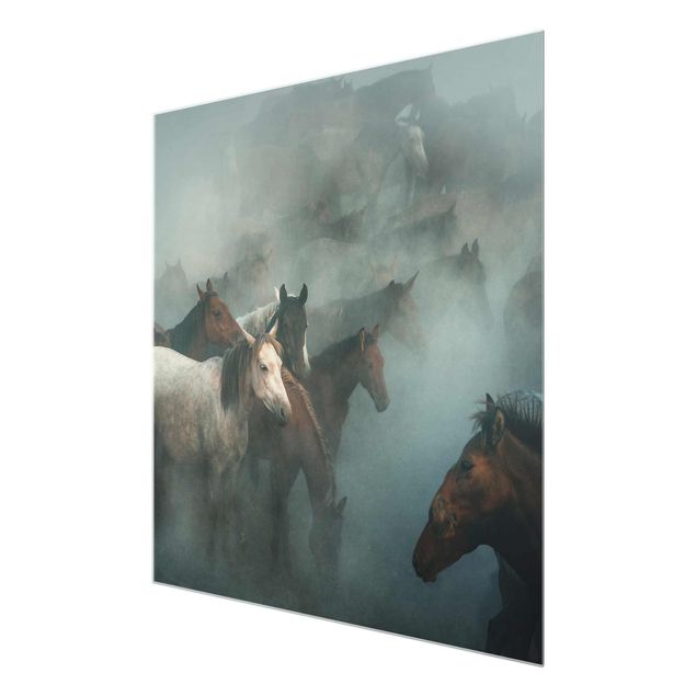 Glass print - Wild Horses