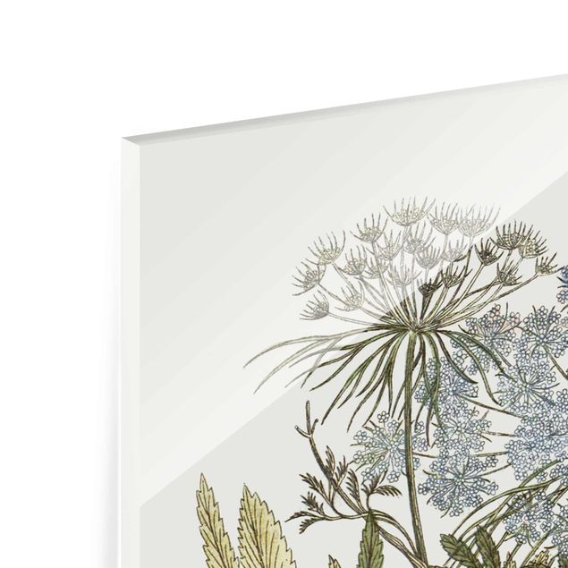 Glass print - Wild Herbs Board I