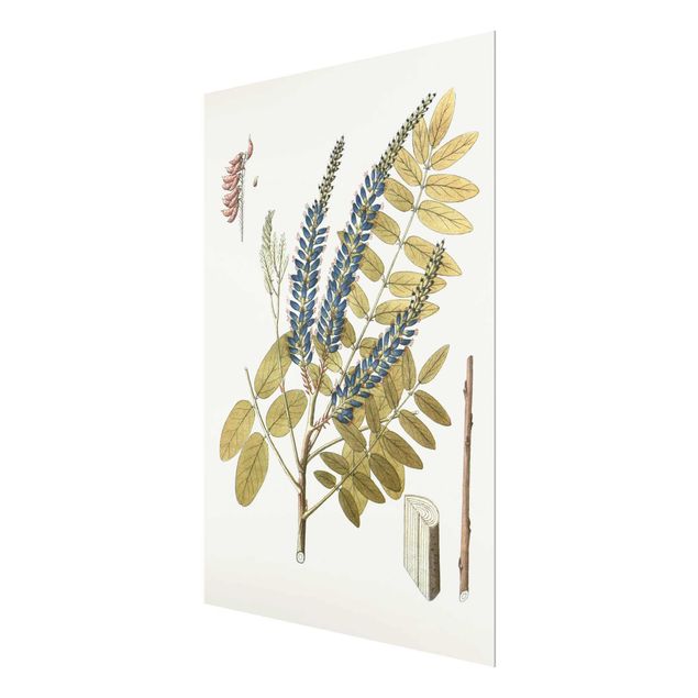 Glass print - Wild Herbs Board II