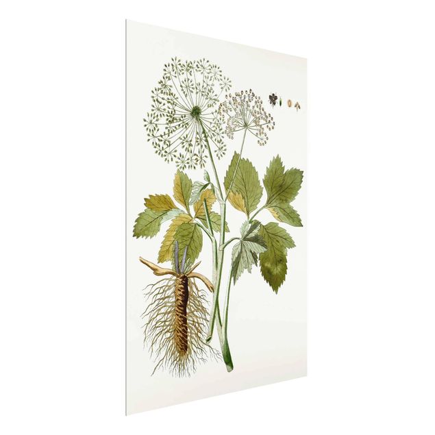 Glass print - Wild Herbs Board IV