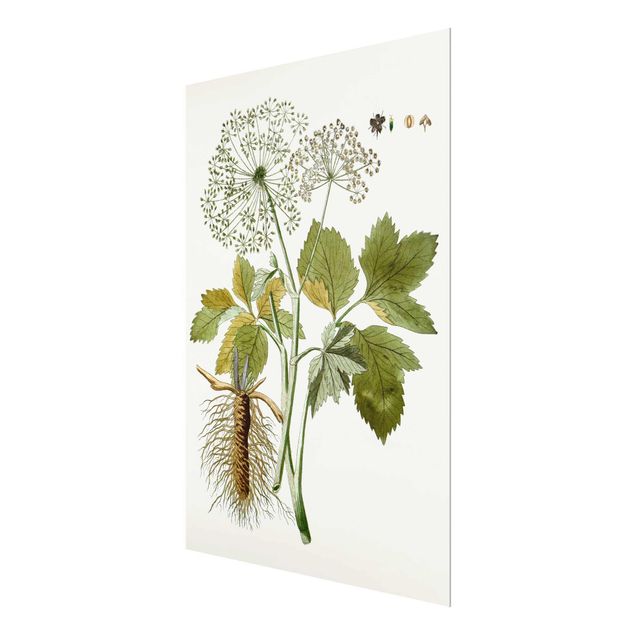 Glass print - Wild Herbs Board IV