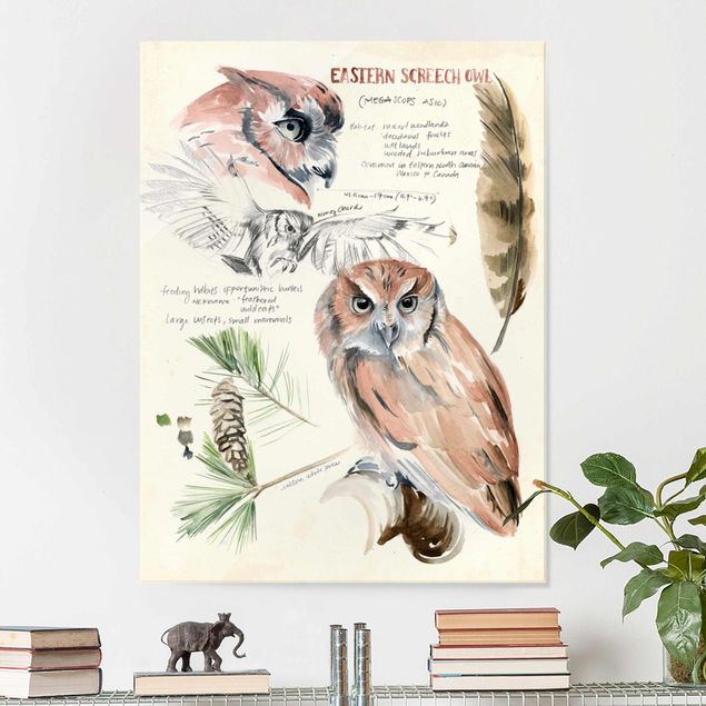 Glass print - Wilderness Journal - Owl