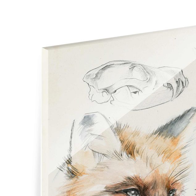 Glass print - Wilderness Journal - Fox