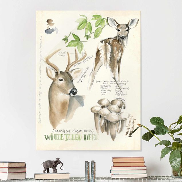 Glas Magnettafel Wilderness Journal - Deer
