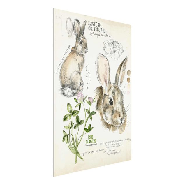 Glass print - Wilderness Journal - Rabbit