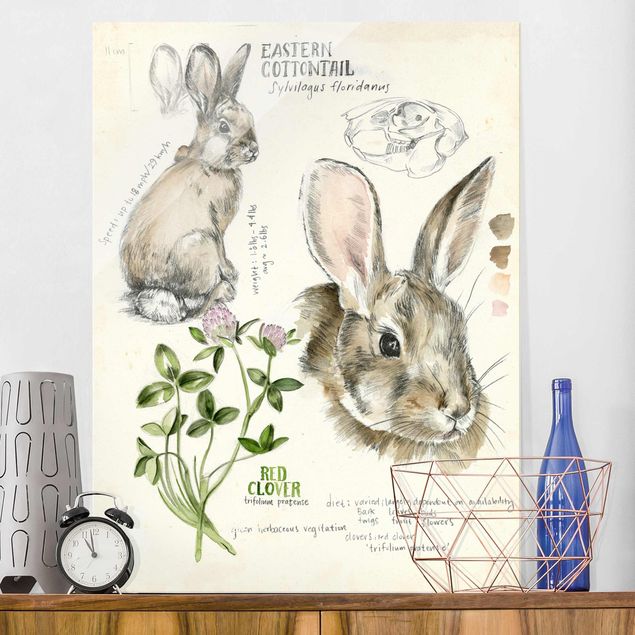 Magnettafel Glas Wilderness Journal - Rabbit