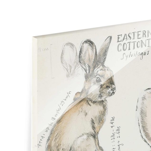 Glass print - Wilderness Journal - Rabbit
