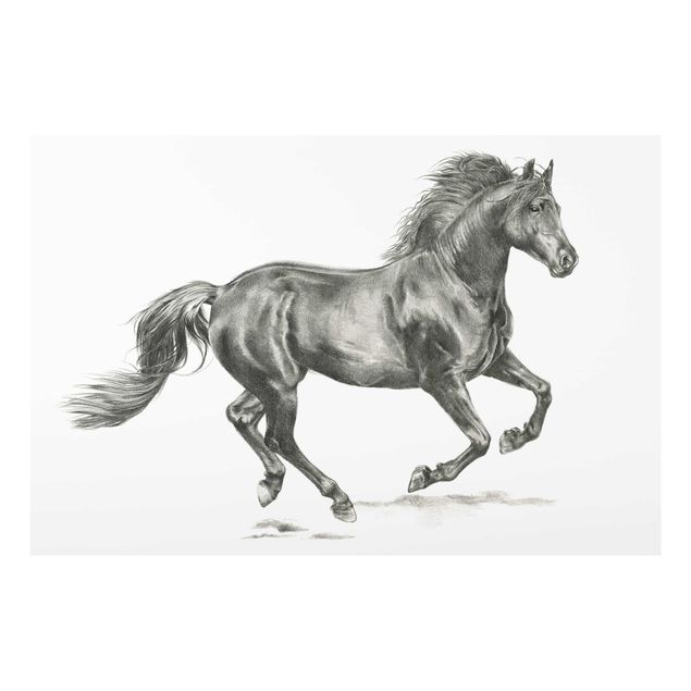 Glass print - Wild Horse Trial - Stallion