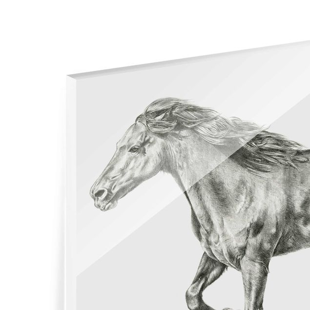 Glass print - Wild Horse Trial - Mare